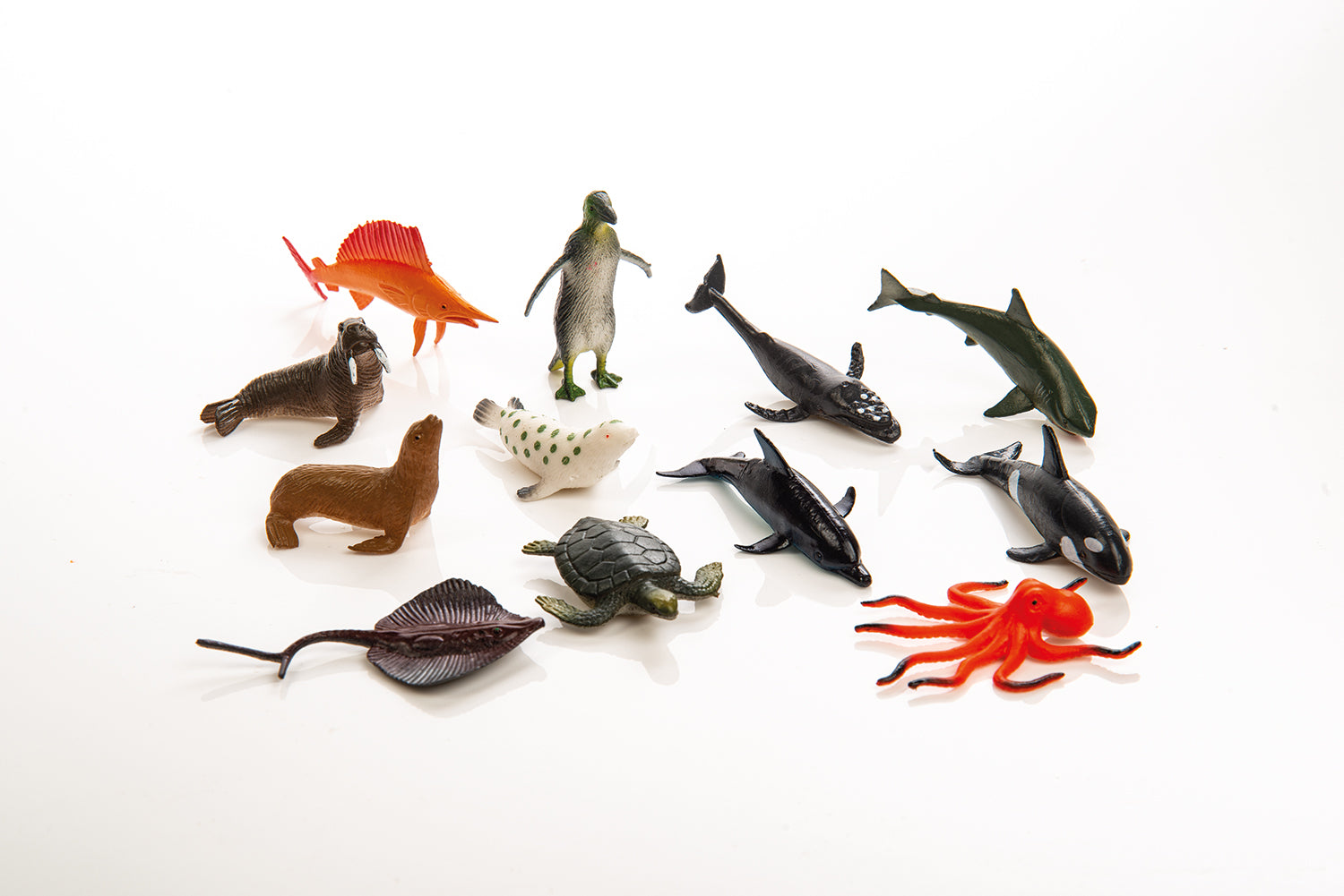 MASTER TOYS BOX VIDA EN EL OCEANO